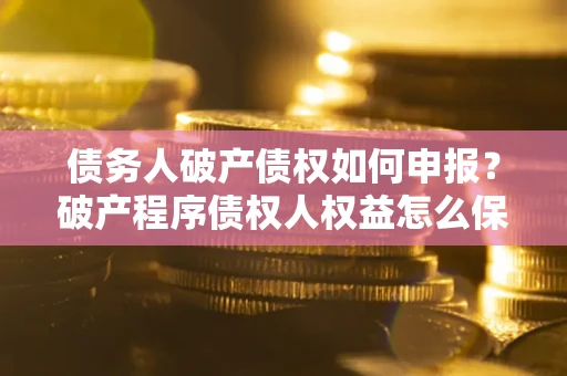 北京债务人破产债权如何申报？破产程序债权人权益怎么保障？