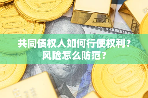 北京共同债权人如何行使权利？风险怎么防范？