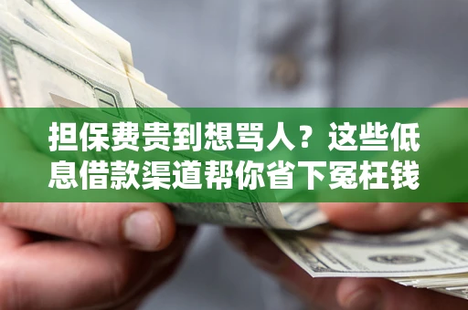 北京担保费贵到想骂人？这些低息借款渠道帮你省下冤枉钱