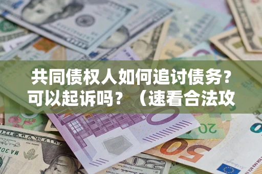 北京共同债权人如何追讨债务？可以起诉吗？（速看合法攻略）
